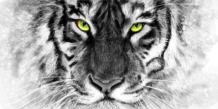 Амурский Тигр